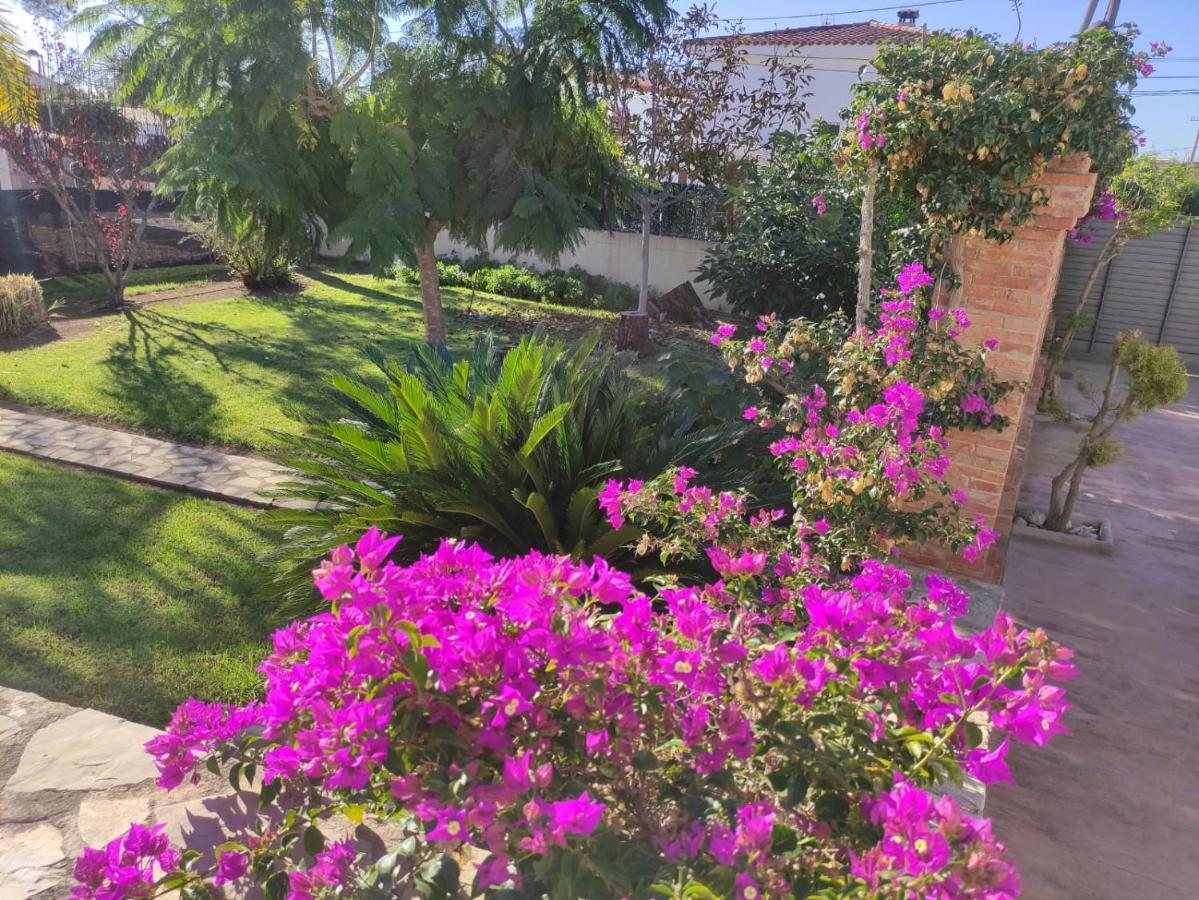 Villa Parets De Sucre Les Cases d'Alcanar Luaran gambar